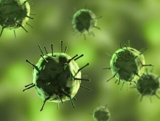 Bactéries provoquant des maladies dans lesquelles apparaissent les sécrétions muqueuses